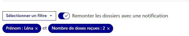 Capture d’écran récapitulant une combinaison de filtres différents addifitifs